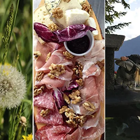 Campo Smith 3* باردونيكيا