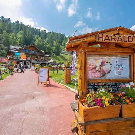Campo Smith 3* Bardonecchia