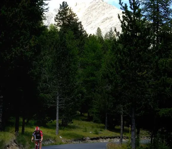 Aparthotel Appartamenti Campo Smith