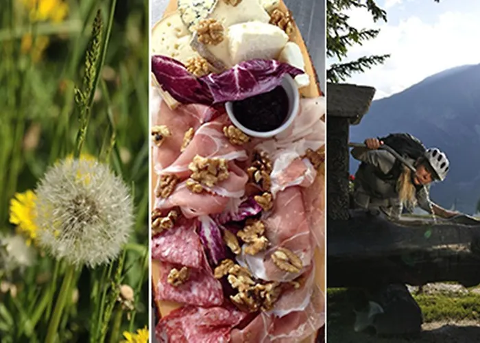 Appartamenti Campo Smith 3* Bardonecchia